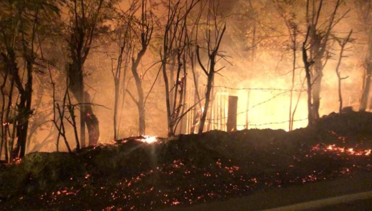 balikesirde yol kenarindaki agaclar yandi kuTejPsU