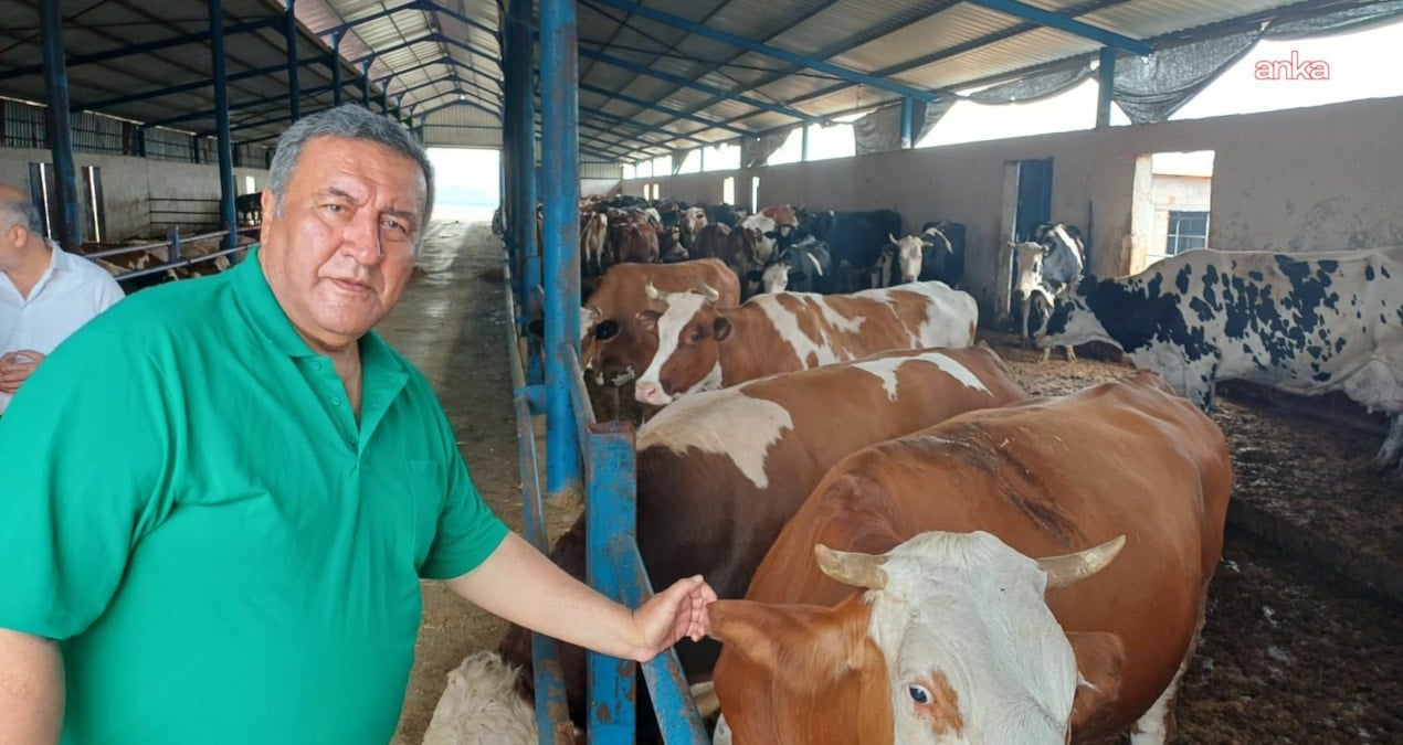 gurer et fiyatlarina isyan etti uretici degil ithalat kazaniyor FEQthIhO.jpg