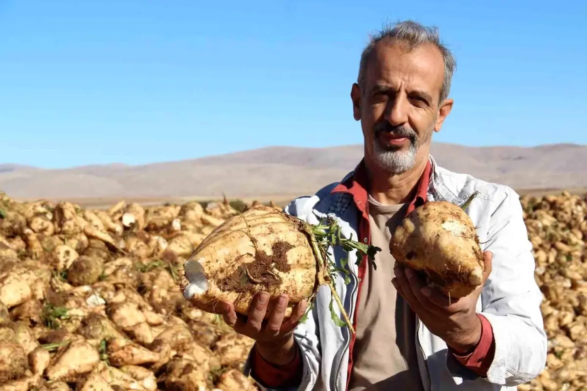 kahramanmarasta seker pancari hasadi basladi GpXBS3be.jpg