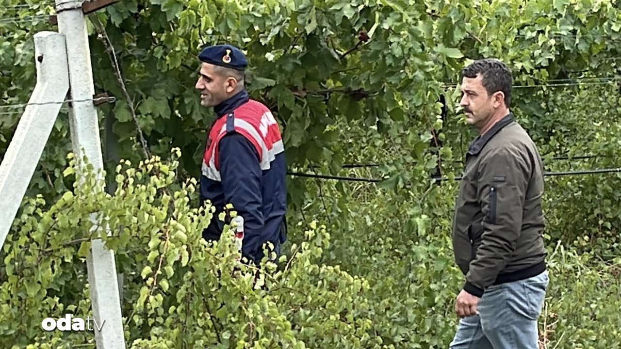 sakaryada uzum ureticileri ve jandarmadan mahsul nobeti 6LIE9kPJ.jpg