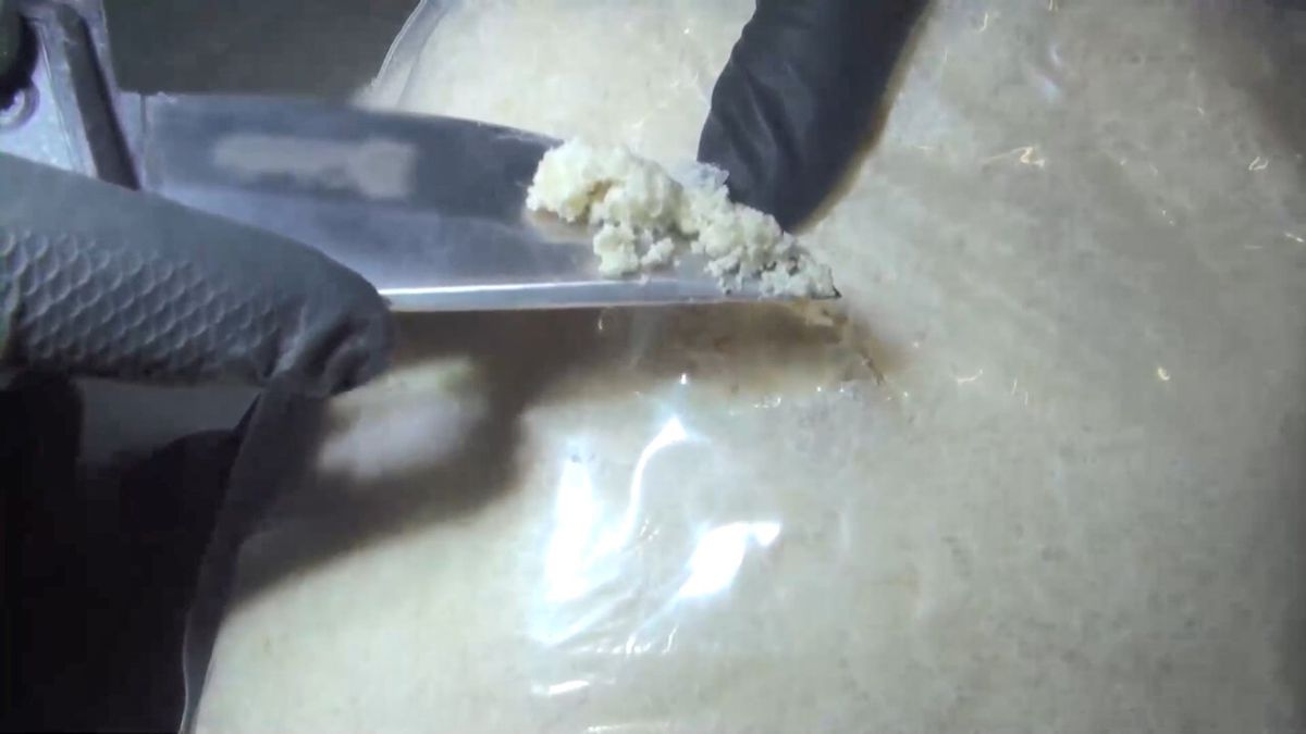 İstanbul’da Uyuşturucu Ticaretiyle Mücadele: Kapsamlı Operasyon